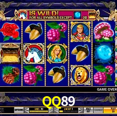 QQ89 bet — painel ao vivo com cotações dinâmicas